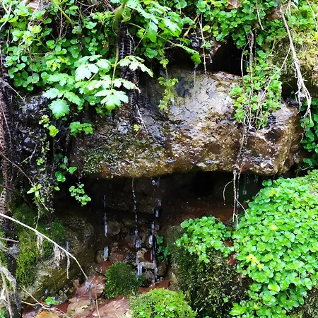 Socabenga * Lafarre (Haute-Loire)